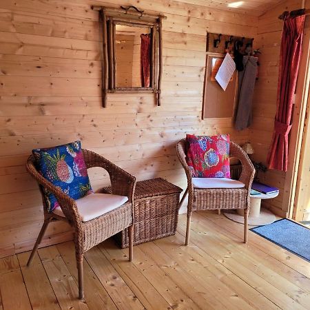 Tan Y Coed'S Rosemary Cabin Conwy Eksteriør billede