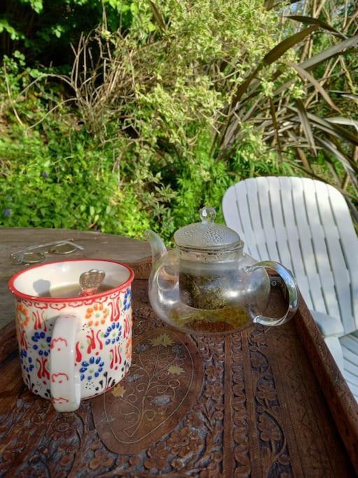 Tan Y Coed'S Rosemary Cabin Conwy Eksteriør billede