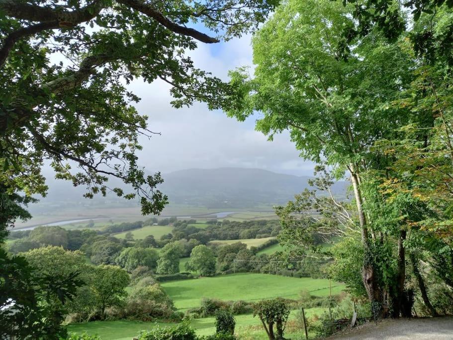 Tan Y Coed'S Rosemary Cabin Conwy Eksteriør billede