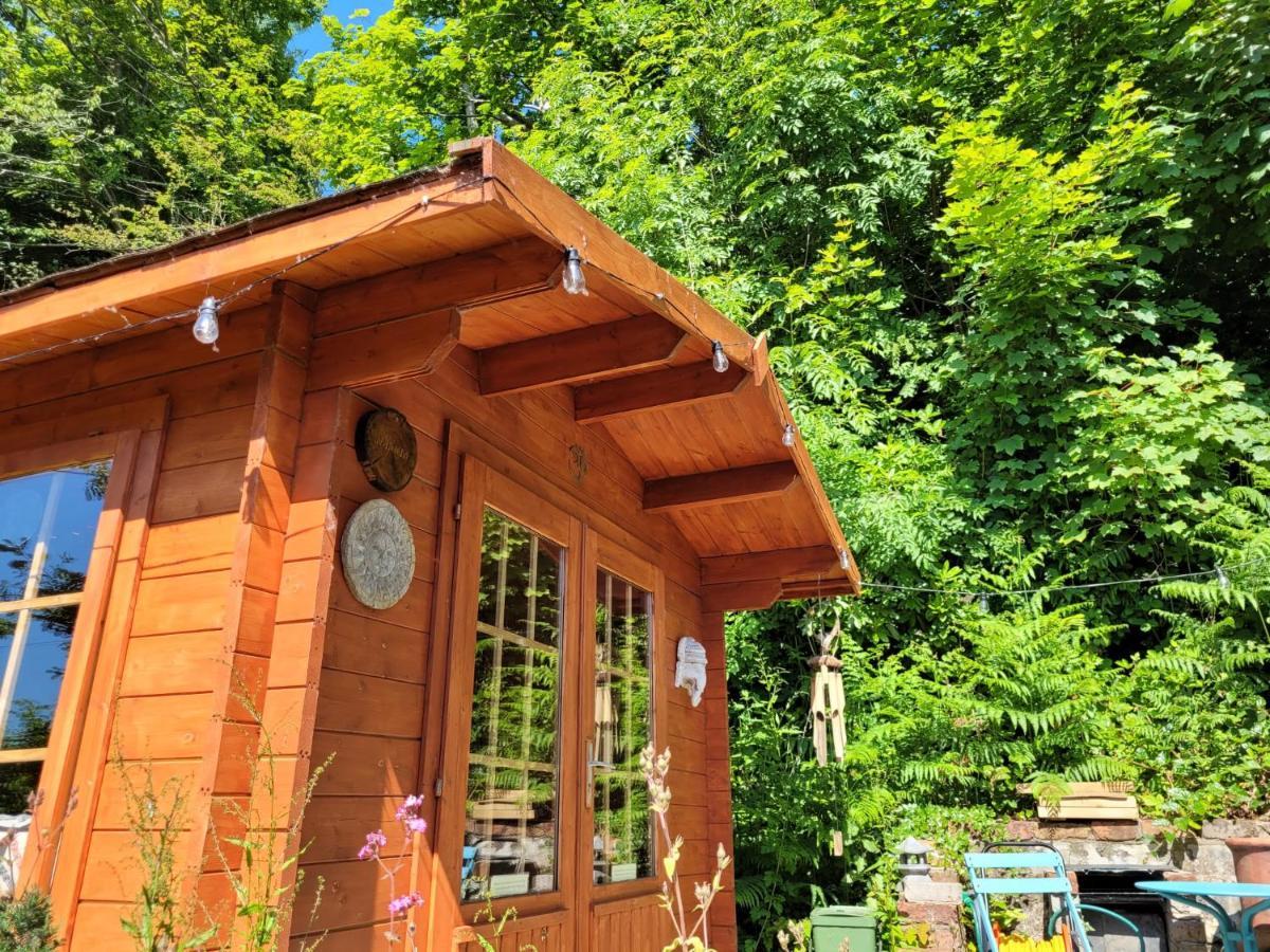 Tan Y Coed'S Rosemary Cabin Conwy Eksteriør billede